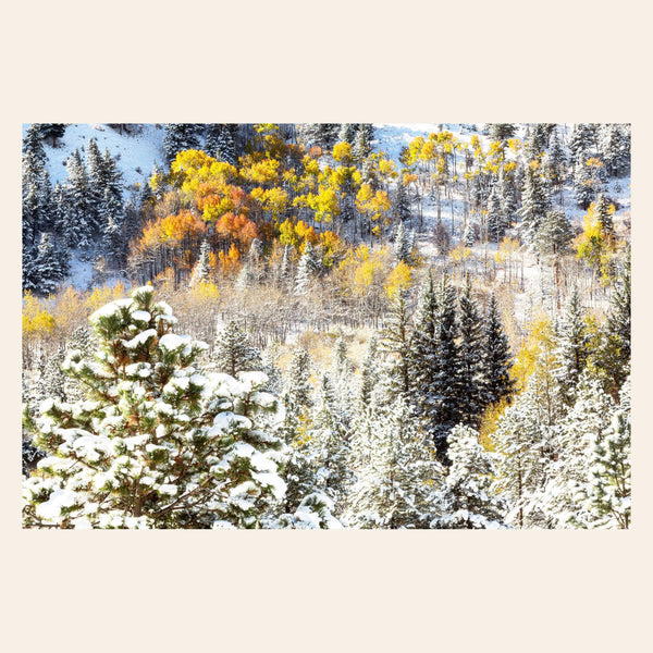 Colorado Nature Photography Prints - Fine Art