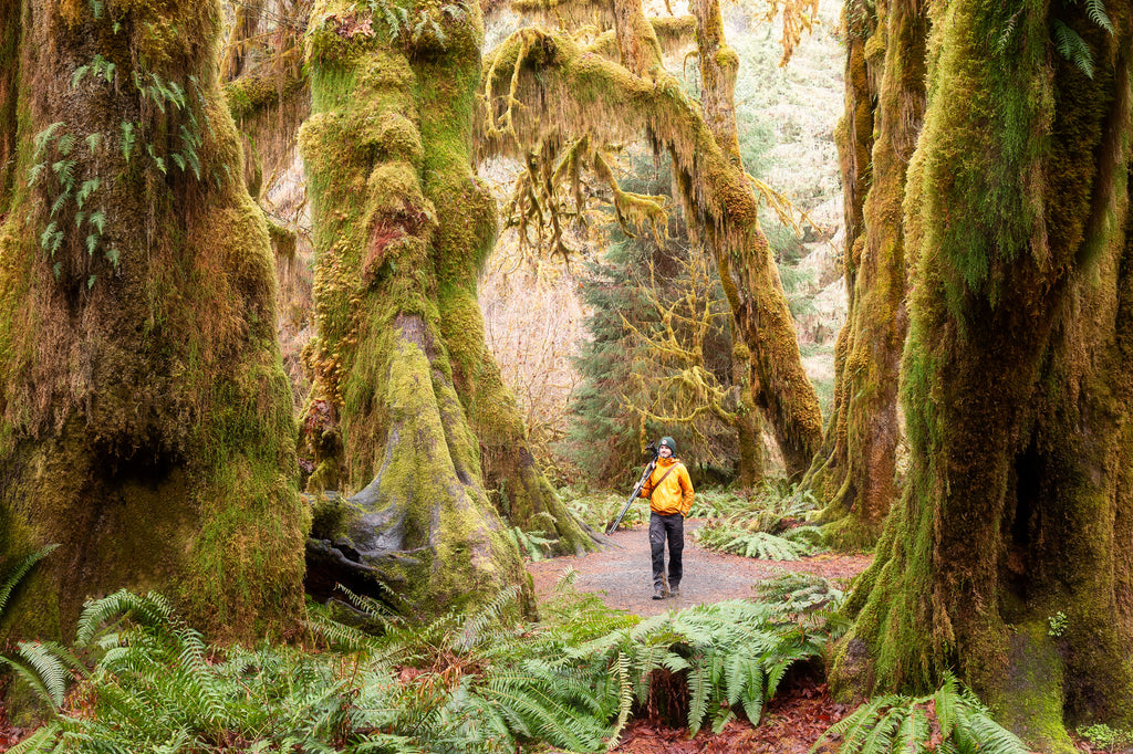 A photograph of Lars Gesing of Lars Gesing Fine Art Nature Images creating photographs in the Hoh Rainforest in Olympic National Park, Washington