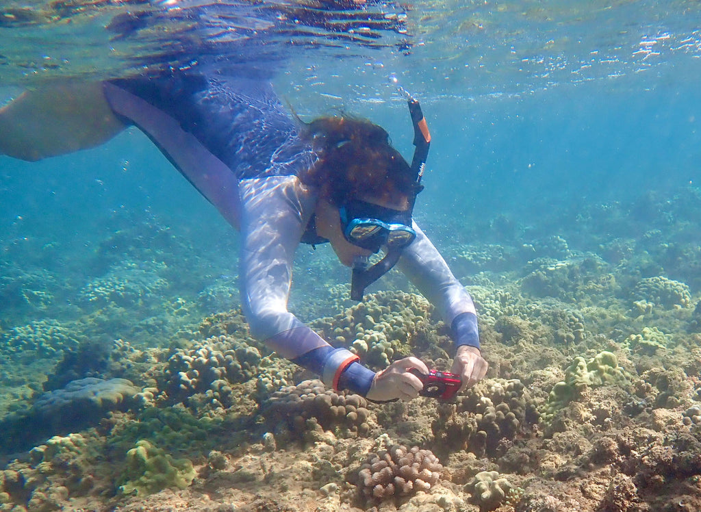Why is coral reef important? This Kauai mermaid will tell you