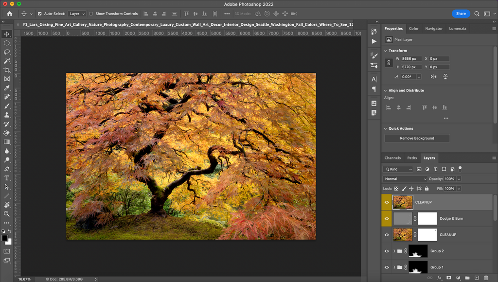 A view of Photoshop of a Lars Gesing Fine Art Nature Image phtoograph.