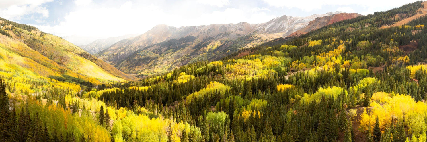 This piece of forest wall decor shows a photo of peak fall colors on the Million Dollar Highway near Ouray, Colorado.
