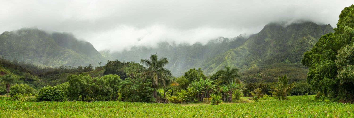This piece of tropical wall decor shows a photo of the mountains behind Hanalei on Kauai.