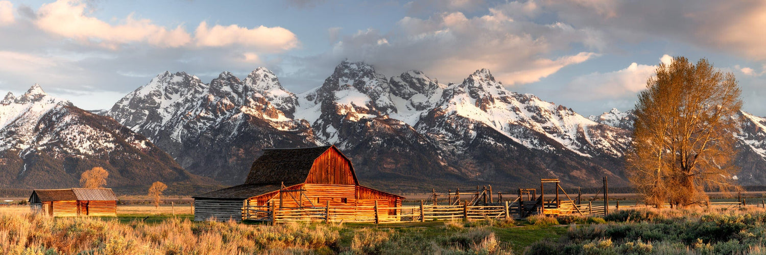 This piece of rustic wall art for living room spaces shows a photo of the famous barns in Grand Teton National Park in Wyoming.