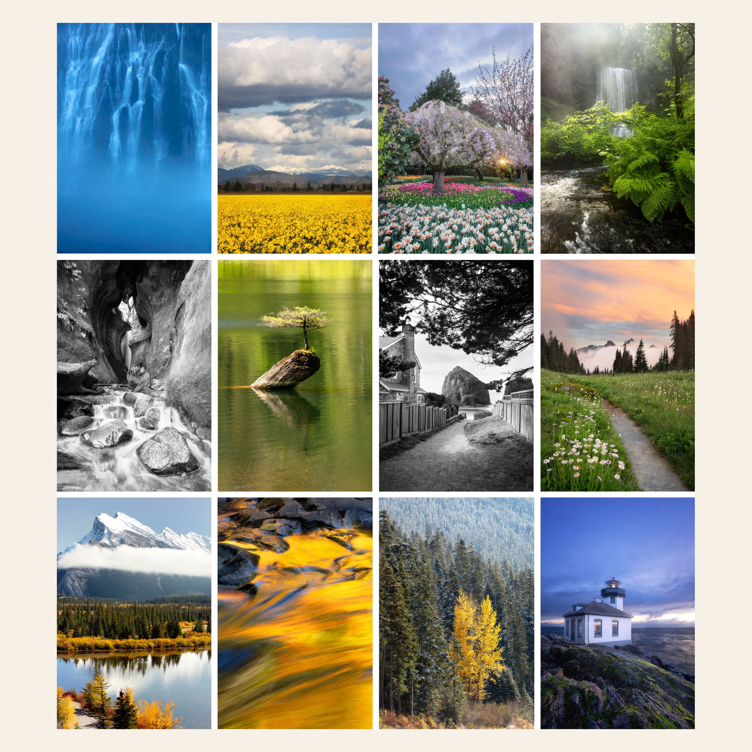 The images in West Seattle artist Lars Gesing's 2026 PNW wall art calendar.