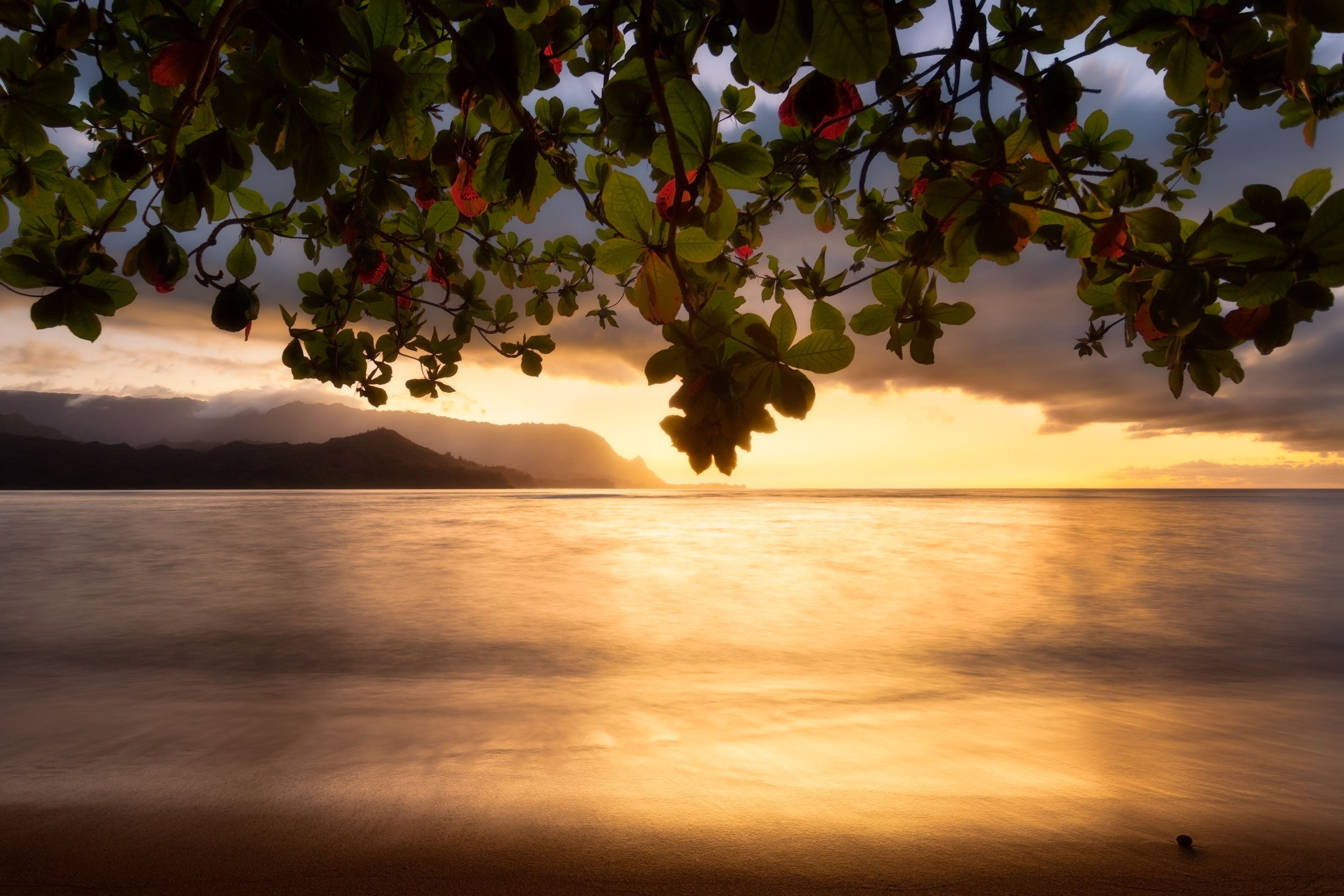 Sunset view at Hanalei Bay, featuring Puu Poa Beach Resort and palm trees in Kauai