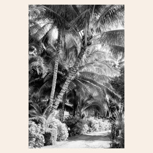 A piece of black and white Kauai art shows Anini Road.
