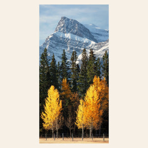 A Tru Life acrylic piece of Banff wall art shows a fall color picture.