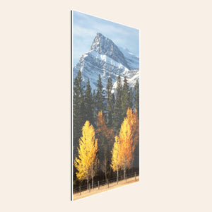 A piece of Banff wall art shows fall color photography.