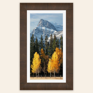 A framed piece of Banff wall art shows a fall color picture.