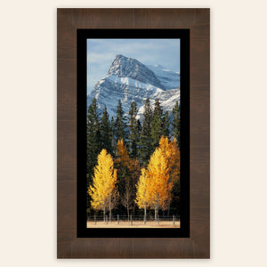 A framed piece of Banff wall art shows a fall color picture.