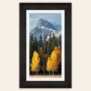 A framed piece of Banff wall art shows a fall color picture.