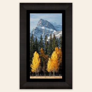 A framed piece of Banff wall art shows a fall color picture.