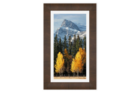 A framed picture of the Banff fall colors.