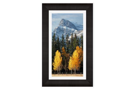 A framed picture of the Banff fall colors.