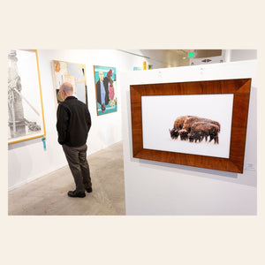 A piece of large wall art showing a bison photo hangs in an art gallery.