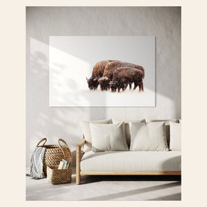 A piece of large wall art showing a bison photo hangs in a living room.