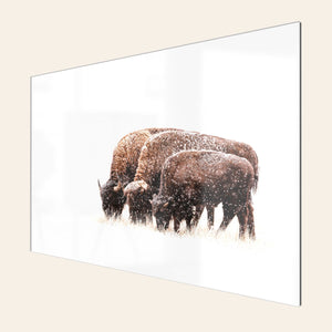 A TruLife acrylic piece of large wall art shows a bison photo.