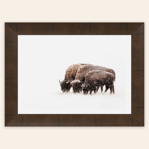 This piece of framed large wall art shows a bison photo.