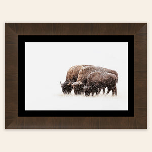 This piece of framed large wall art shows a bison photo.