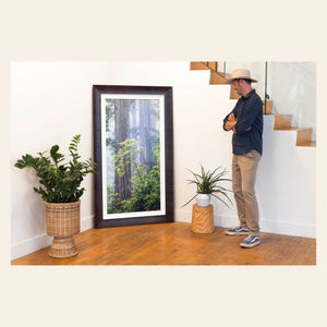 Lars Gesing with a California redwoods forest photo.