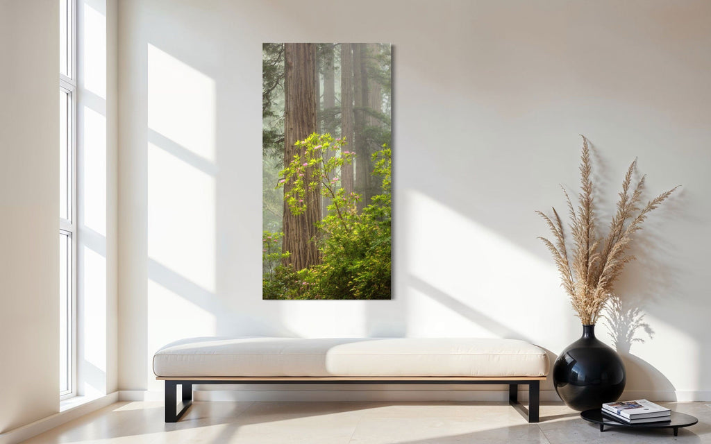 A piece of large wall art shows a California Redwoods photo hanging in an entryway.
