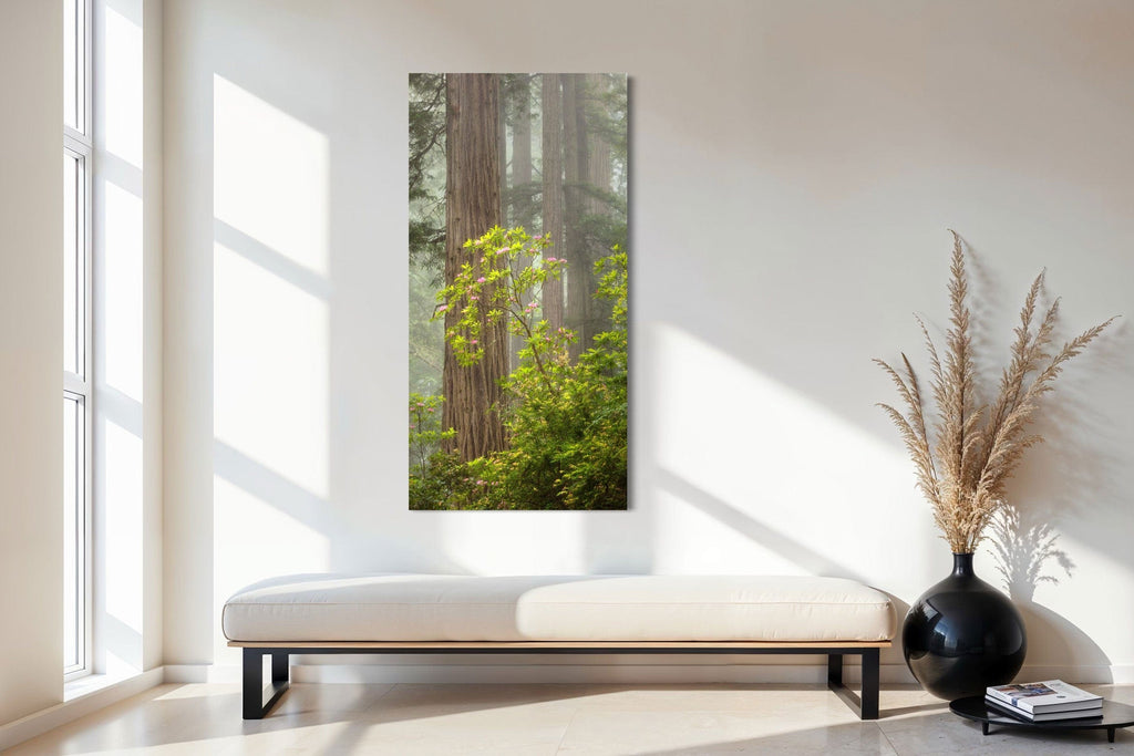 A piece of large wall art shows a California Redwoods photo hanging in an entryway.