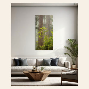 A piece of large wall art shows a California Redwoods photo hanging in a living room.