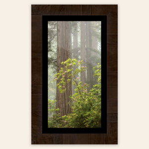 A framed piece of large wall art shows a California Redwoods photo.