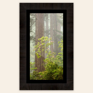 A framed piece of large wall art shows a California Redwoods photo.