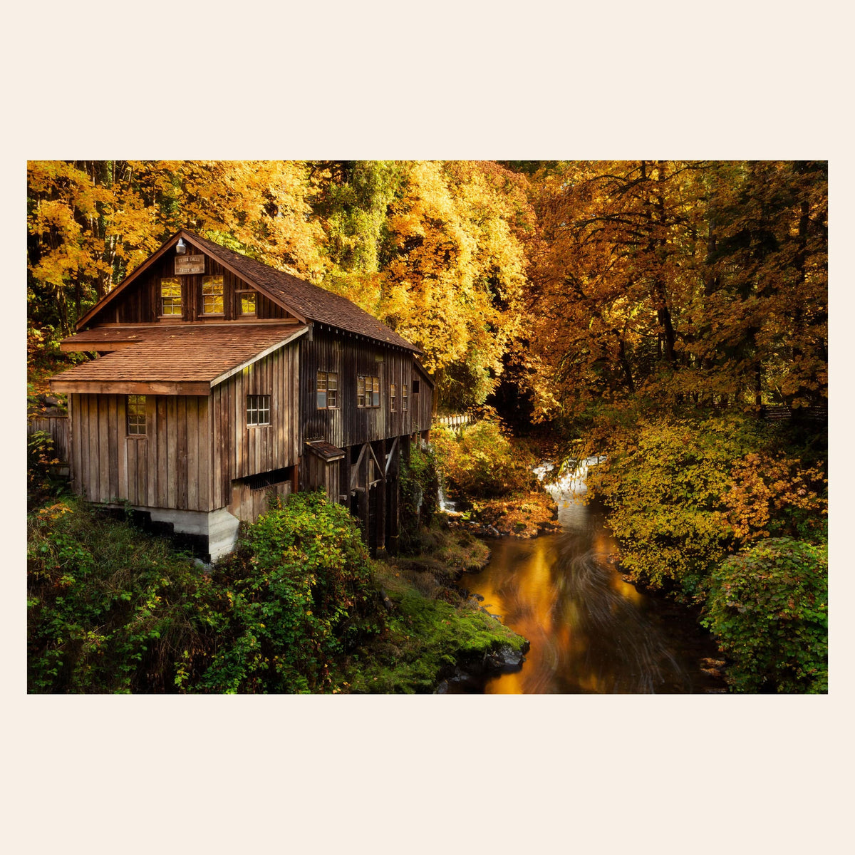 A piece of Washington art shows the Cedar Grist Mill near Woodland.