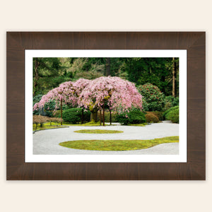 A piece of framed Portland art shows the cherry blossoms at the Japanese Garden.