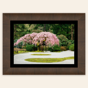 A piece of framed Portland art shows the cherry blossoms at the Japanese Garden.