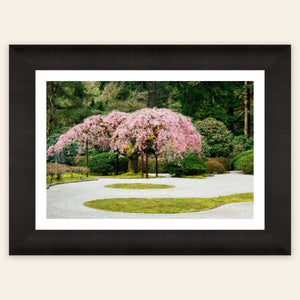 A piece of framed Portland art shows the cherry blossoms at the Japanese Garden.