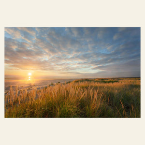 A Copalis Beach picture from near Ocean Shores.