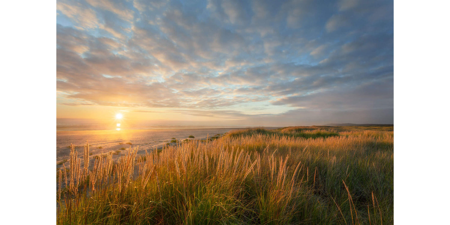 A Copalis Beach picture from near Ocean Shores.