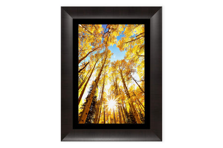 A framed Kebler Pass picture shows the Crested Butte fall colors.