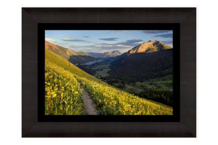 A framed Crested Butte wildflower picture from a popular hiking trail.