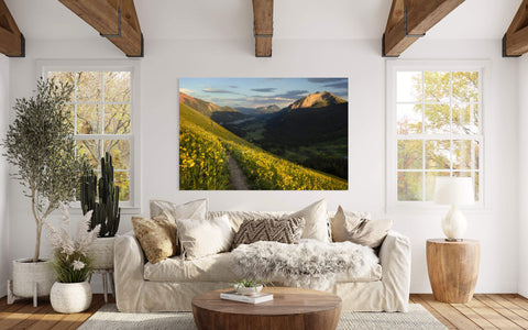 A Crested Butte wildflower picture from a popular hiking trail hangs in a living room.