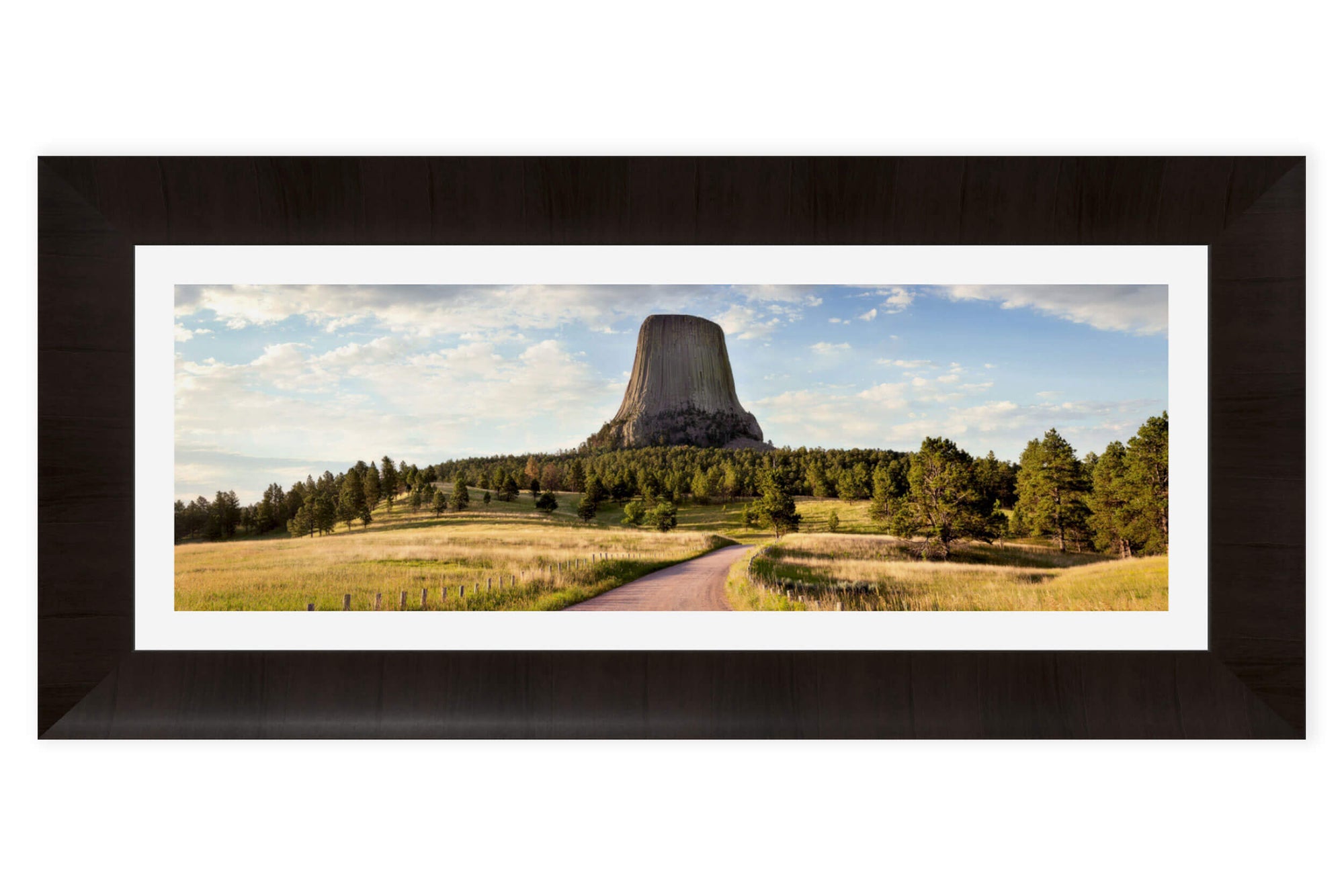 A framed Devil's Tower National Monument picture shows one of the trails in Wyoming.