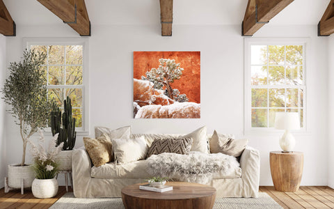 A Garden of the Gods picture from Colorado Springs hangs in a living room.