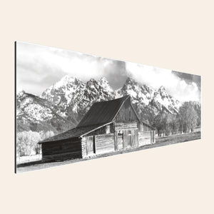 A TruLife acrylic piece of black and white wall art from Grand Teton National Park.