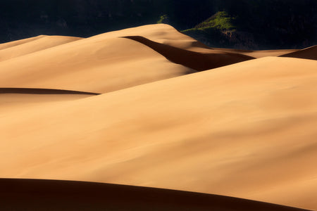 A piece of Colorado art shows a Great Sand Dunes National Park picture.
