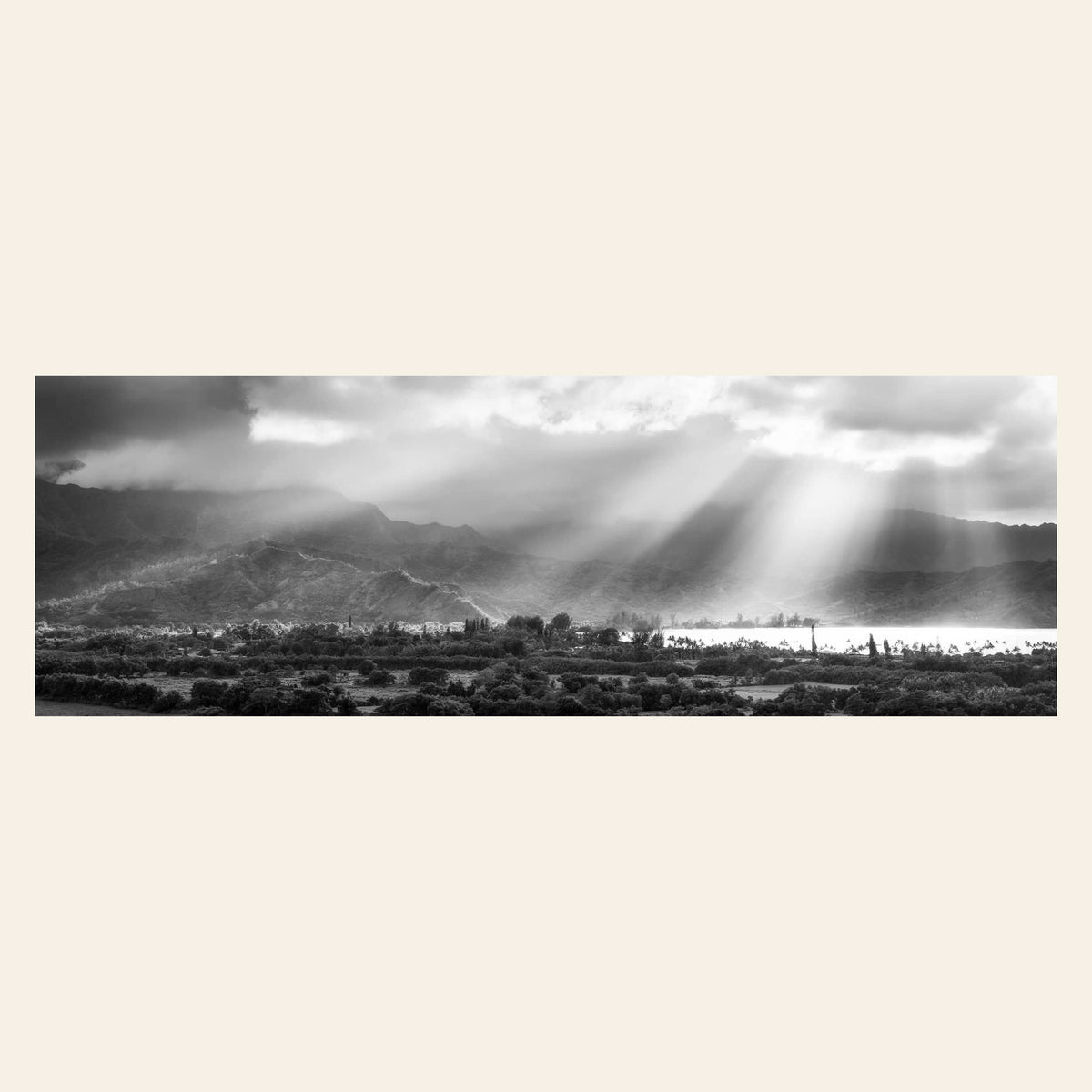 A piece of Hanalei black and white Kauai art.