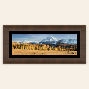 A piece of framed Banff art shows the larches on the Healy Pass hike in fall.