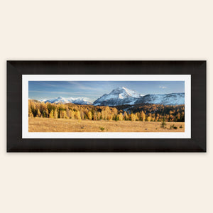 A piece of framed Banff art shows the larches on the Healy Pass hike in fall.