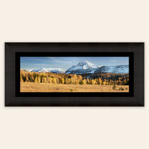 A piece of framed Banff art shows the larches on the Healy Pass hike in fall.