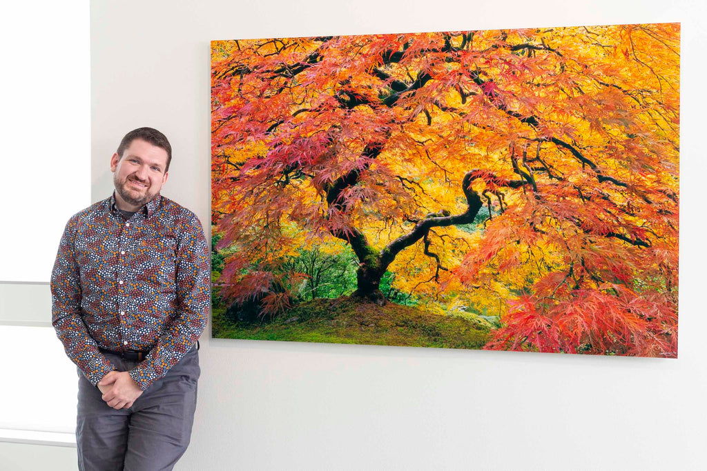 A collector of Lars Gesing's Japanese maple art.