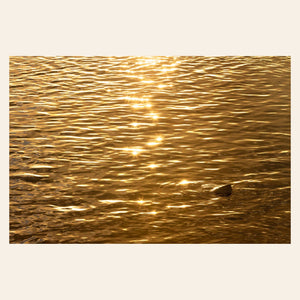 A piece of Kauai art shows a photo of a Kapaa sunrise reflected in the water.