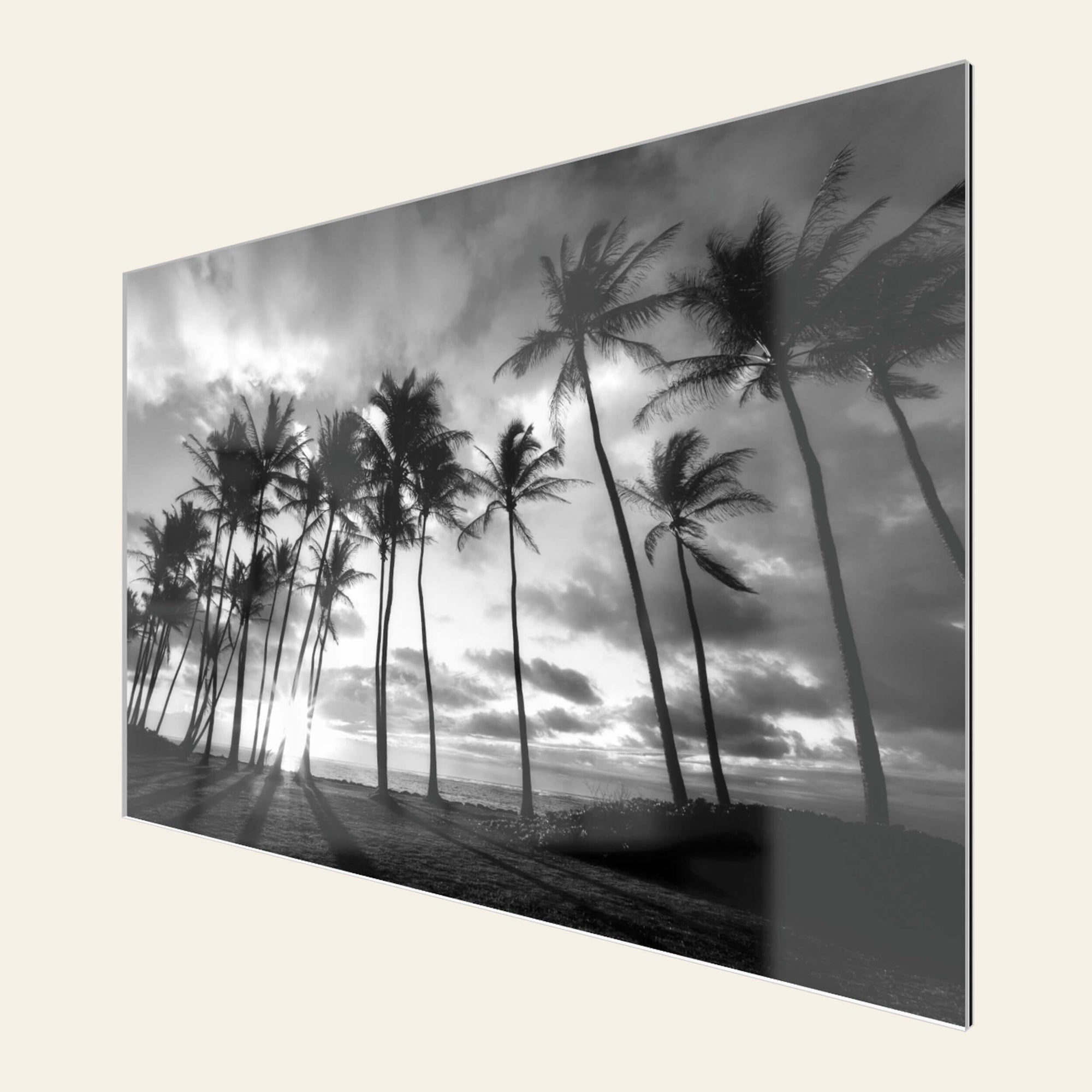 A TruLife acrylic palm tree picture at sunrise in Kapaa, Kauai.