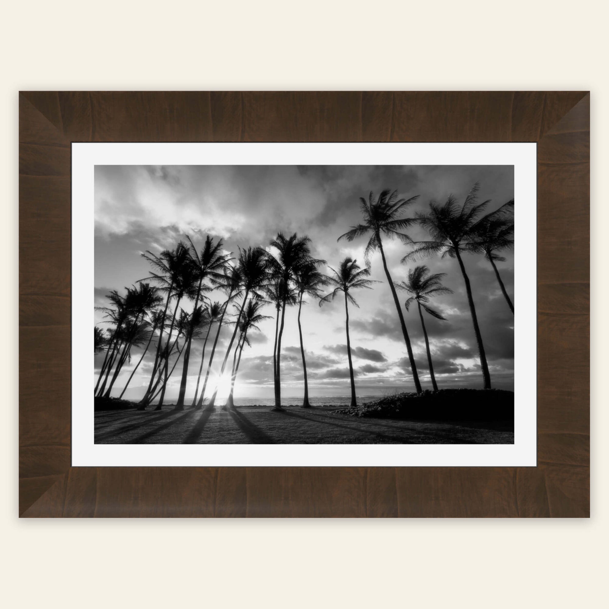 A framed palm tree picture at sunrise in Kapaa, Kauai.